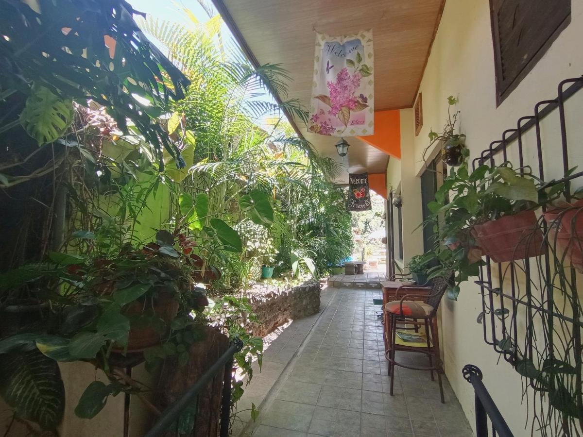 Nirvana Apartament Hostal Río Segundo Dış mekan fotoğraf