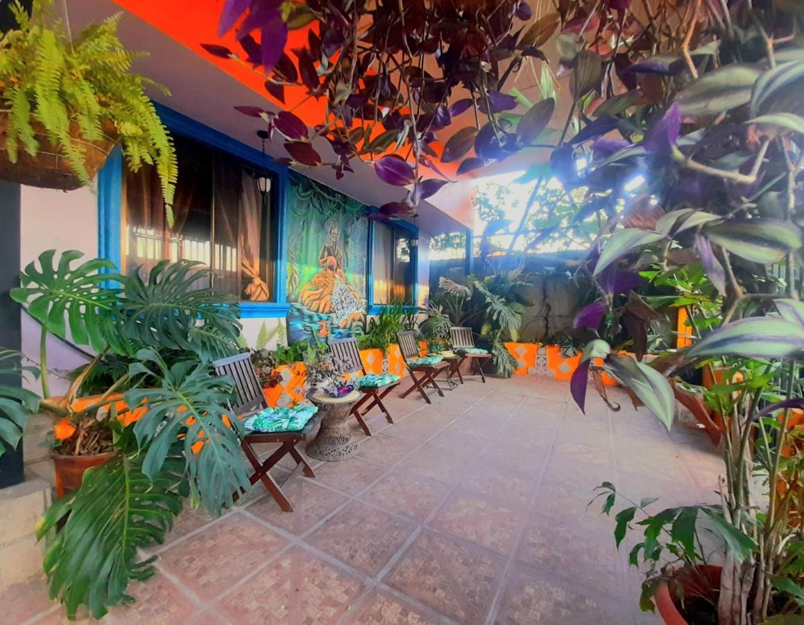 Nirvana Apartament Hostal Río Segundo Dış mekan fotoğraf